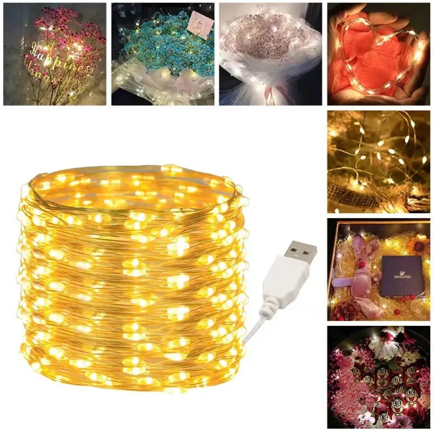 USB LED Copper Wire String Lights (Silver or Copper Wire)